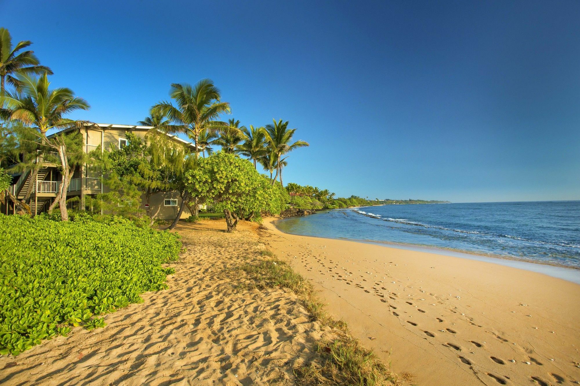 Apartmán Castle Kauai Kailani Kapa'a Exteriér fotografie